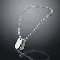 Silver Chain Necklace With Two Dog Tag Pendants And Link Design