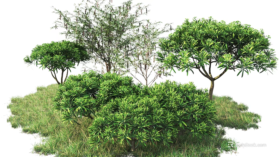 Lush Green Various Shrubs With Dense Foliage In Grassy Outdoor Landscape 3d model 