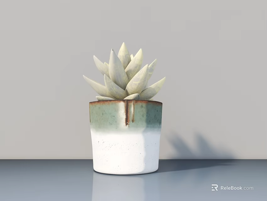 Potted Succulent Plant With White Leaves In Green And White Ceramic Pot On Modern Tabletop 3d model 
