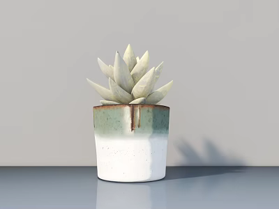 Potted Succulent Plant With White Leaves In Green And White Ceramic Pot On Modern Tabletop 3d model