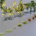 Diverse Plant Combination Featuring Trees Shrubs Grasses And Various Foliage Varieties