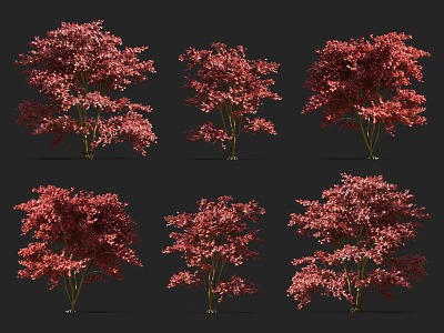 Red Leaf Trees with Vibrant Foliage in Various Natural Shapes 3d model