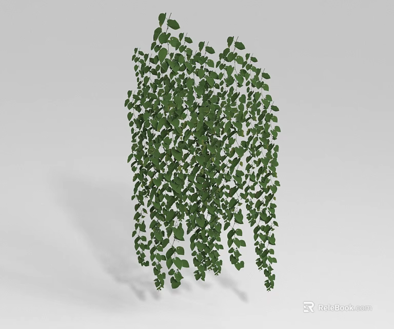Lush Green Hanging Vine with Dense Leaves and Trailing Growth 3d model