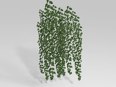 Lush Green Hanging Vine with Dense Leaves and Trailing Growth 3d model