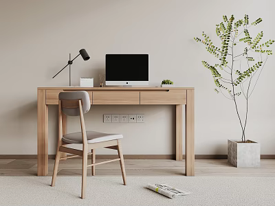 Modern Wooden Desk With Chair Table Lamp Computer Small Plant Large Potted Tree And Rug 3d model
