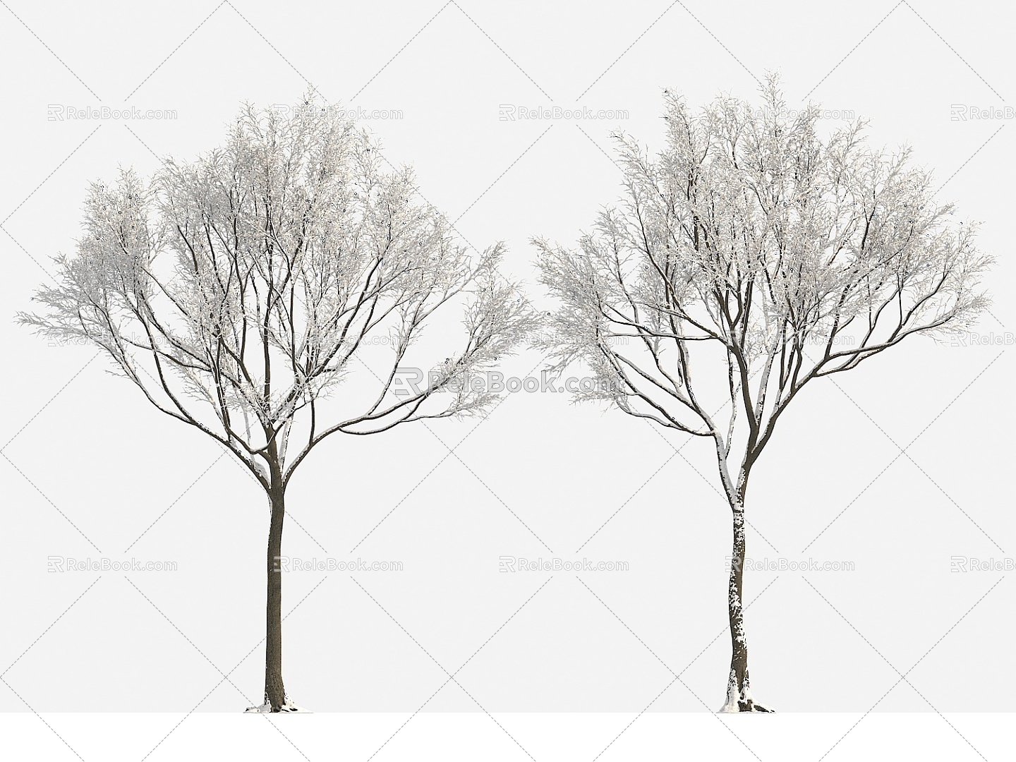 plant tree big tree winter tree winter plant snow tree 3d model