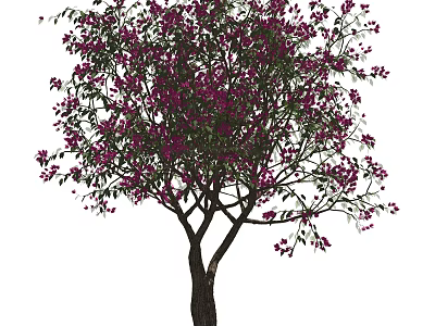 Lush Arbor With Abundant Purple Flowers And Green Foliage In Garden 3d model