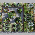 Living Wall Design With Succulent Plants Hexagonal Planters And Wooden Frames