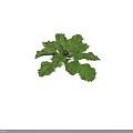 Fresh Green Vegetables Displaying Various Healthy Leafy Shapes And Forms 3d model