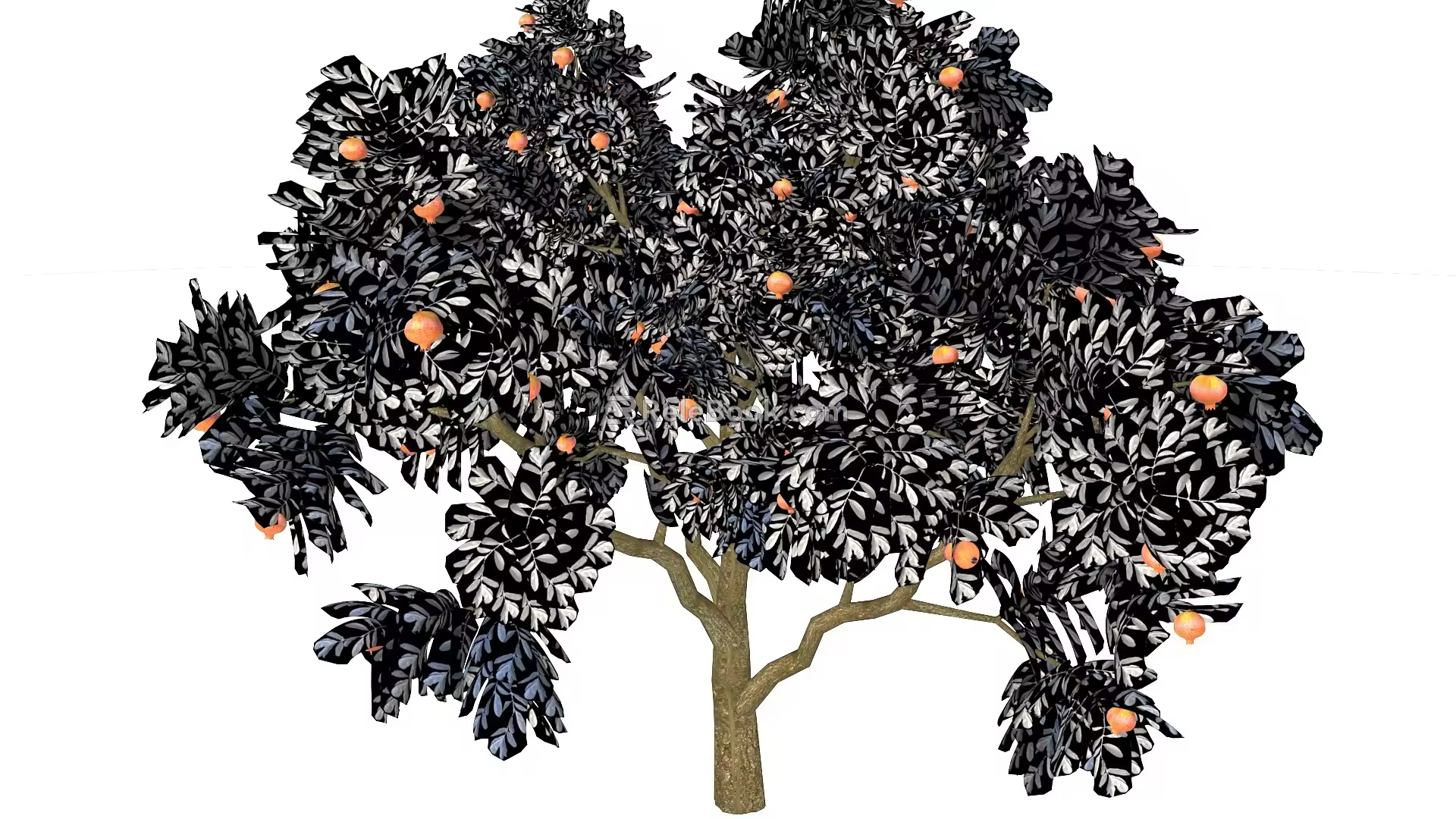 pomegranate tree 3d model