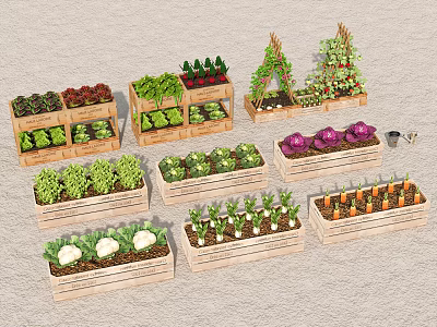 Courtyard Garden with Wooden Planter Boxes Growing Vegetables Climbing Plants and Gardening Tools 3d model