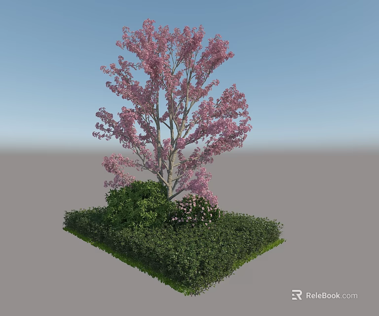 Outdoor Plant Combination Featuring Pink Flowering Tree with Green Shrubs and Low Green Plants 3d model 