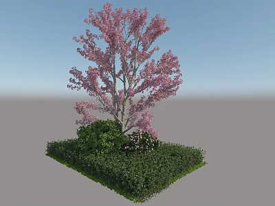 Outdoor Plant Combination Featuring Pink Flowering Tree with Green Shrubs and Low Green Plants 3d model