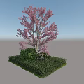 Outdoor Plant Combination Featuring Pink Flowering Tree with Green Shrubs and Low Green Plants