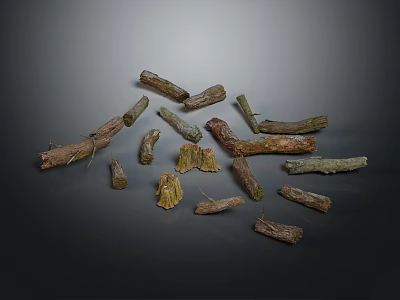 Natural Plant Branches Displayed with Various Shapes Different Sizes and Textures 3d model
