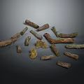 Natural Plant Branches Displayed with Various Shapes Different Sizes and Textures