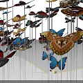 Colorful Butterfly Art Installation With White Base And Wing Shaped Design