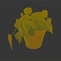 Lush Green Indoor Plant with Heart Shaped Leaves in Orange Terracotta Pot