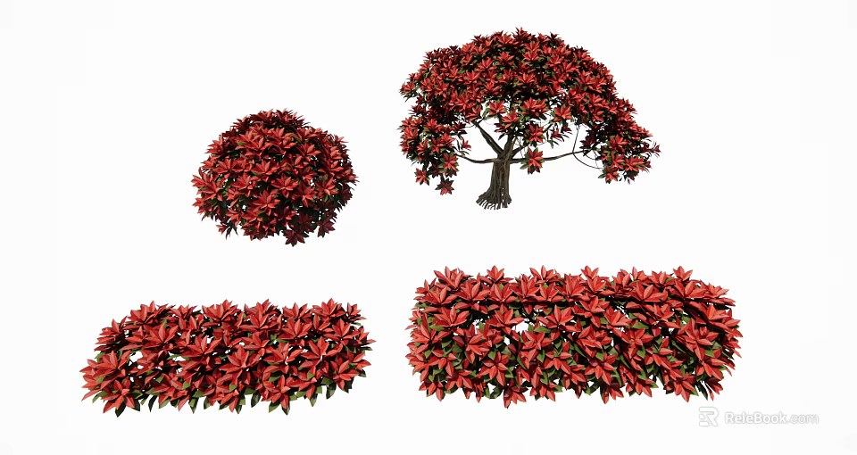 Ornamental Red Leaf Shrubs With Round Shape Tree Form Hedge Design And Lush Foliage 3d model 