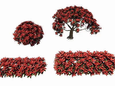 Ornamental Red Leaf Shrubs With Round Shape Tree Form Hedge Design And Lush Foliage 3d model