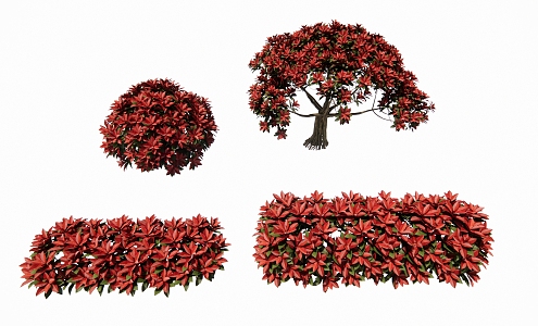 Modern shrub heather shrub ball 3d model