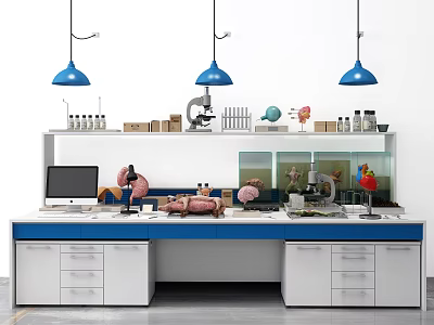 Functional Desk in Laboratory Setting with Computer Microscope Anatomical Models and Reagent Bottles 3d model