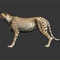 Leopard Wild Leopard Cheetah Mountain Leopard Leopard Carved Leopard Metal Carved Leopard Ornaments Cartoon Leopard African Leopard 3d model