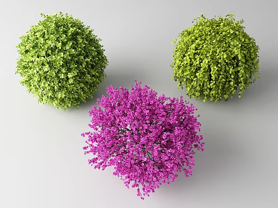 Spherical Green And Purple Decorative Shrub Plants For Garden Landscaping 3d model