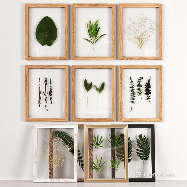 Framed Pressed Plant Leaves Art With Ferns And Various Frames For Home Wall Decor 3d model 