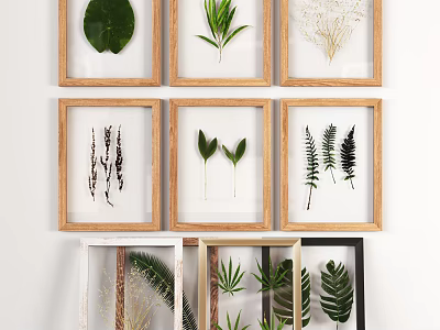 Framed Pressed Plant Leaves Art With Ferns And Various Frames For Home Wall Decor 3d model