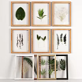 Framed Pressed Plant Leaves Art With Ferns And Various Frames For Home Wall Decor