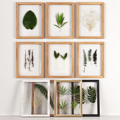 Framed Pressed Plant Leaves Art With Ferns And Various Frames For Home Wall Decor 3d model
