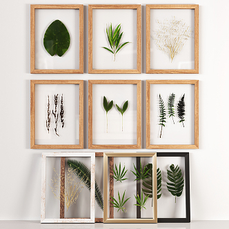 Nordic Plant Painting Decorative Frame 3d model