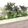 Lush Tropical Plant Combination With Diverse Green Foliage In Concrete Planter