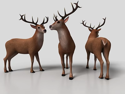 Three Brown Deer 3D Models With Large Antlers Standing On White Surface 3d model