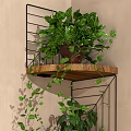 Multi Tiered Wooden And Metal Plant Shelf For Indoor Greenery