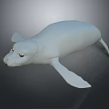 White 3D Marine Reptile Model With Streamlined Body And Flippers