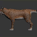 Realistic Lynx Character With Orange Spotted Fur And Red Eyes Standing On Gray Background