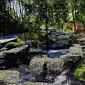 Serene Waterfront Landscape With Bamboo Forest Stream Stones And Wooden Fence