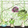 Vine Covered Lattice Background With Purple Flower Ball Potted Plants Pink Flowers And Green Shrubs