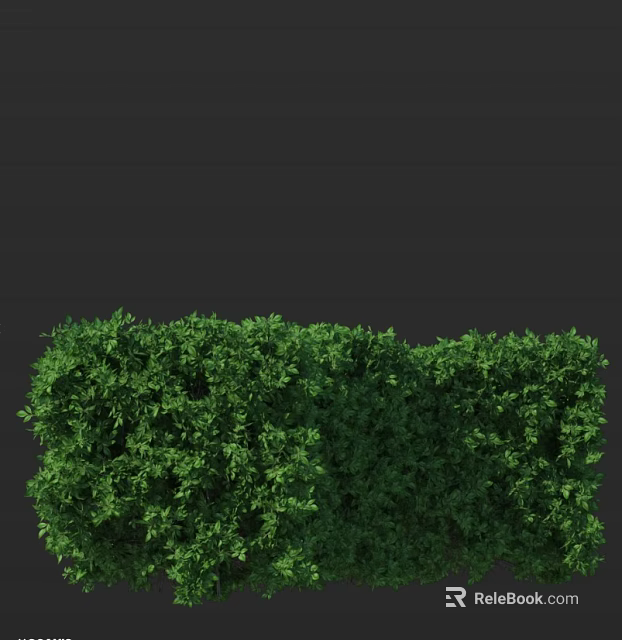Lush Green Shrub in Garden Landscape With Dense Foliage and Vibrant Leaves 3d model 