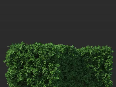 Lush Green Shrub in Garden Landscape With Dense Foliage and Vibrant Leaves 3d model