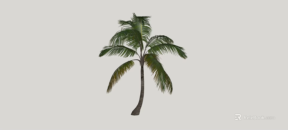 Palm Tree With Tall Trunk And Lush Green Fronds Tropical Look 3d model 
