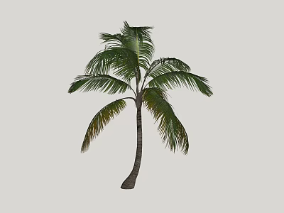 Palm Tree With Tall Trunk And Lush Green Fronds Tropical Look 3d model
