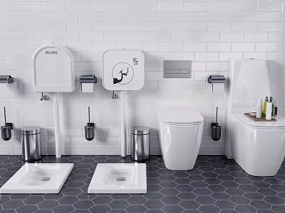 Toilet Types with White Tiled Wall Hexagonal Tiles Wall Hung Squat and Cleaning Supplies 3d model