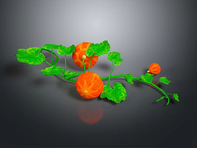 Vine Plant Growing with Small Orange Fruits and Fresh Green Leaves on Dark Background 3d model