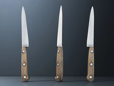 Three Kitchen Knives With Wooden Handles And Metal Blades On Gray Background 3d model