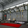 Camouflage Themed Fitness Gym With Exercise Balls Dumbbell Plates And Shelves