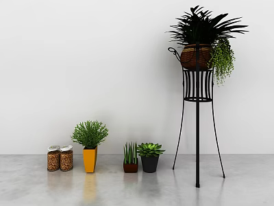 Bonsai Potted Plants Display With Metal Stand And Colored Pots For Indoor Decor 3d model