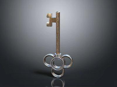 Metal Key with Three Ring Decorations Sleek Design Shiny Finish Daily Life Essential 3d model